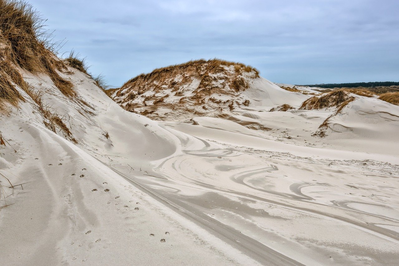 Living Laboratories - The Role of Biosphere Reserves in Conservation Science